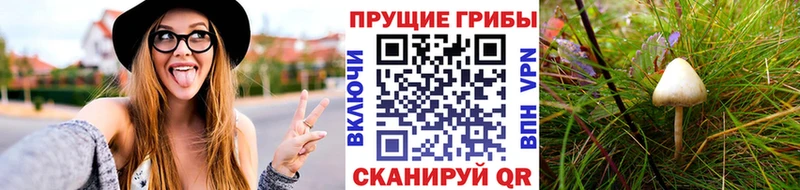 Псилоцибиновые грибы MAGIC MUSHROOMS  Ачхой-Мартан 