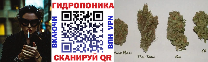 кракен ТОР  Ачхой-Мартан  Бошки марихуана White Widow 